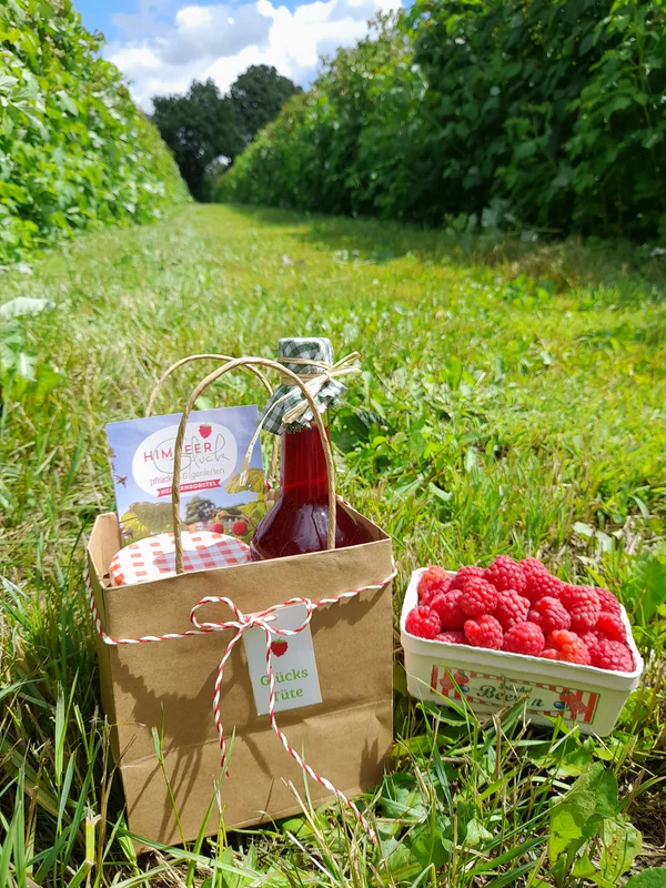 Frische Himbeeren und eine Präsenttüte mitten im Himbeerfeld